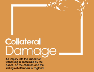 Collateral Damage