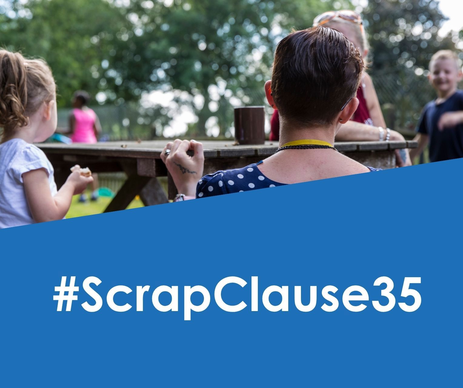 Scrap Clause 35 Webiste