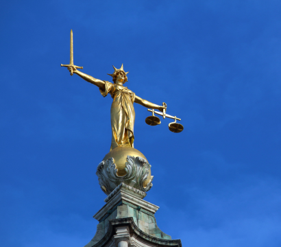 Court Support Service